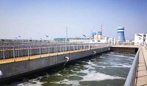 Thiết bị tách rắn lỏng bằng bạc Thép không gỉ