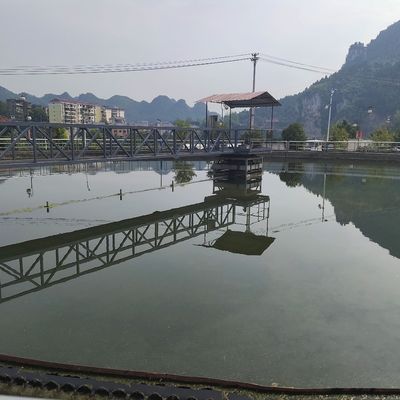 Thiết bị nạo bùn nửa cầu Bộ truyền động ngoại vi Thép carbon