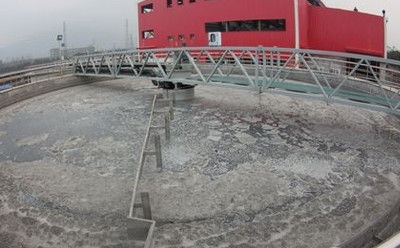 Hệ thống nạo bùn truyền dẫn ngoại vi, Máy nạo bùn đáy bằng thép không gỉ